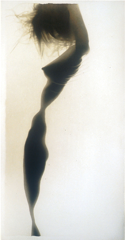 ©Alvin Booth - From "Osmosis" series, Silver Gelatin Print, hand toned, 40x20", mounted between acrylic and copper framed, ED. 12