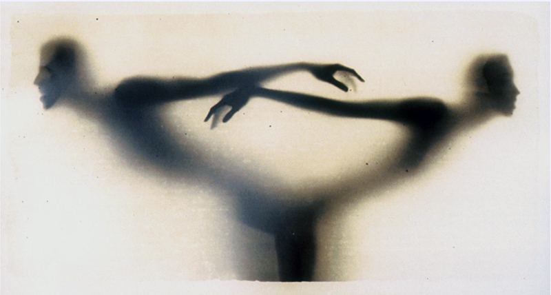 ©Alvin Booth - From "Osmosis" series, Silver Gelatin Print, hand toned, 20x40", mounted between acrylic and copper framed, ED. 12