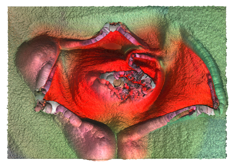 ©Wolfgang Herbold - e_02-05-06_1-k, Digital Image, 2006