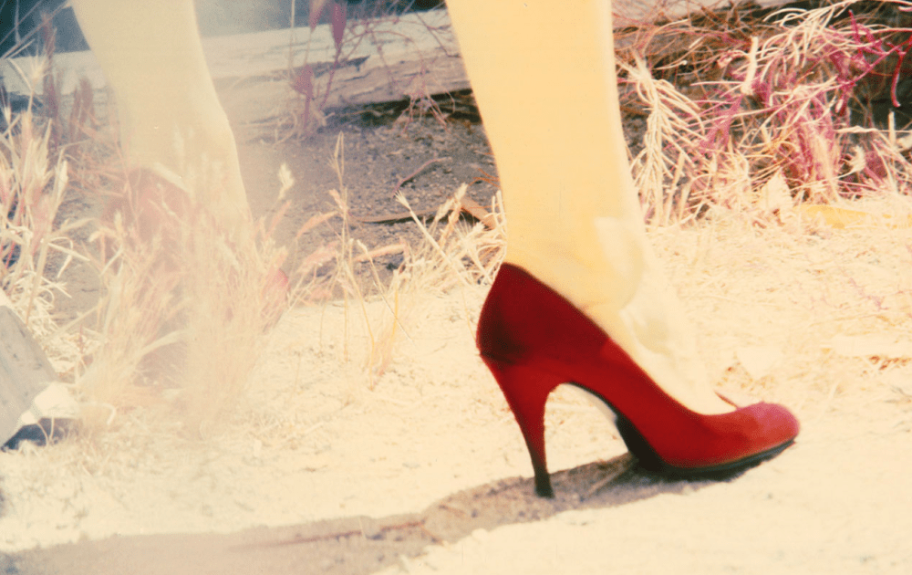 © Brooke Lydecker - From 'Exotix World' Series, C-Print