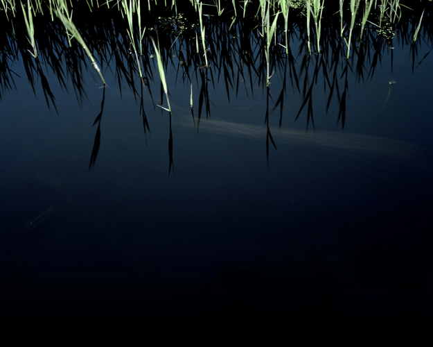 ©Florian Beckers - From  'The Vanishing of the Images' Color Print on Aluminum Dibond, 39x49", Ed. 5