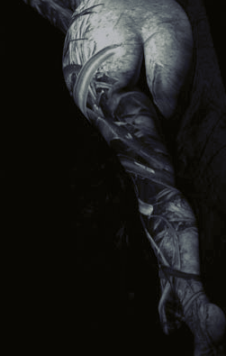 © Yoko Mazuki Muddy Pineapple from 'A Priori' Series, 2000 - 2004, B/W Print